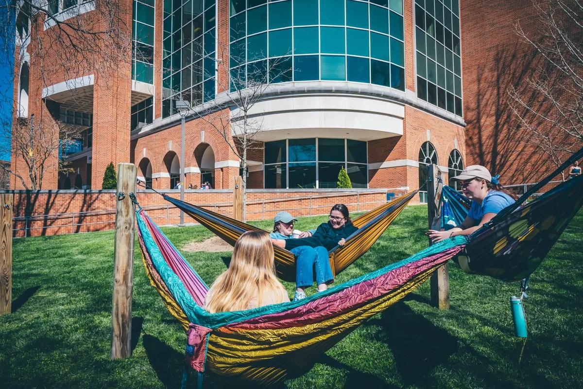 Students in hammocks on campus
